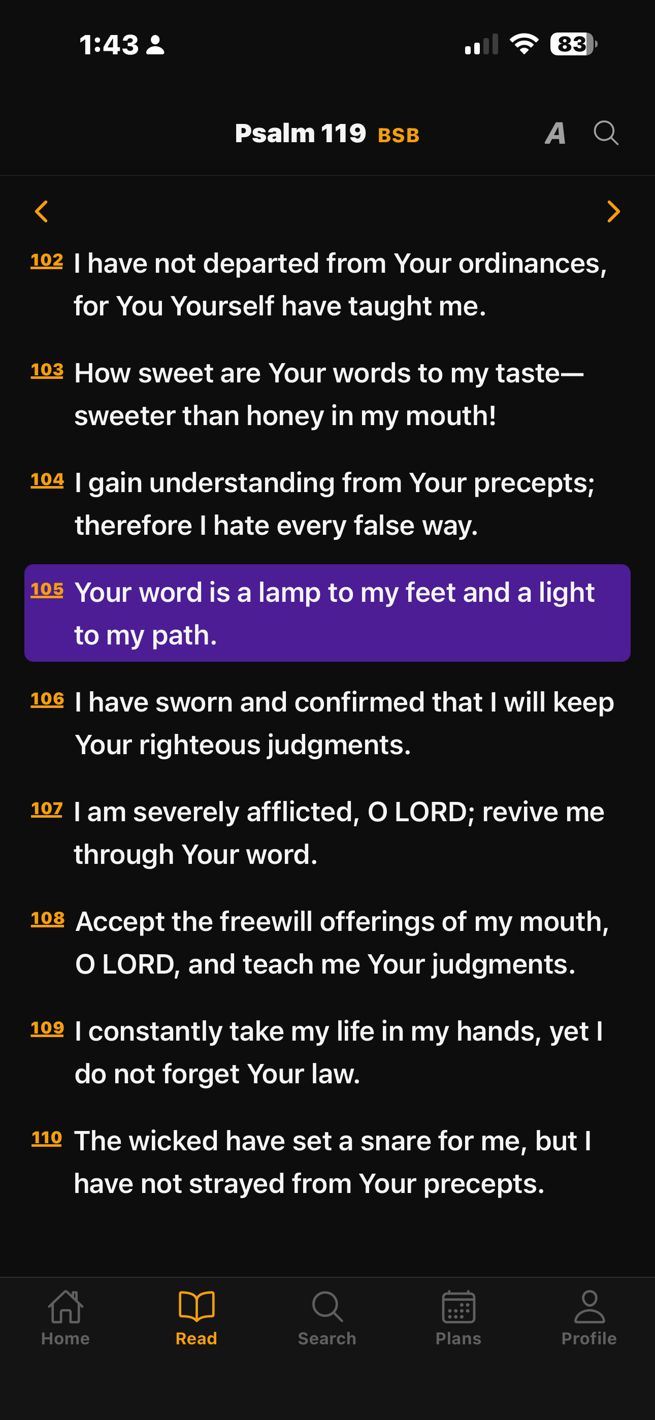 Lantern reading screen